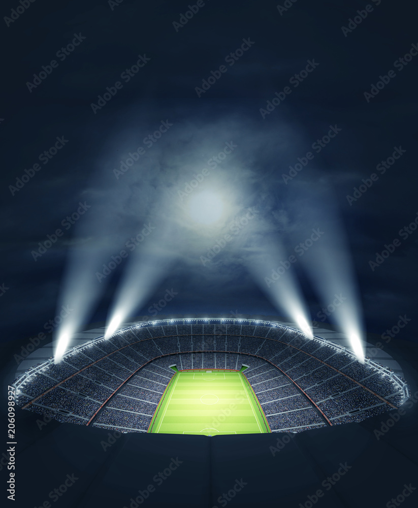 Naklejka premium The stadium