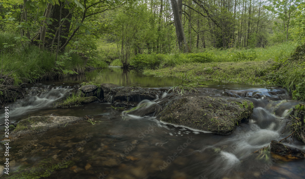 Bily Halstrov creek in west Bohemia Bily Halstrov creek in west Bohemia