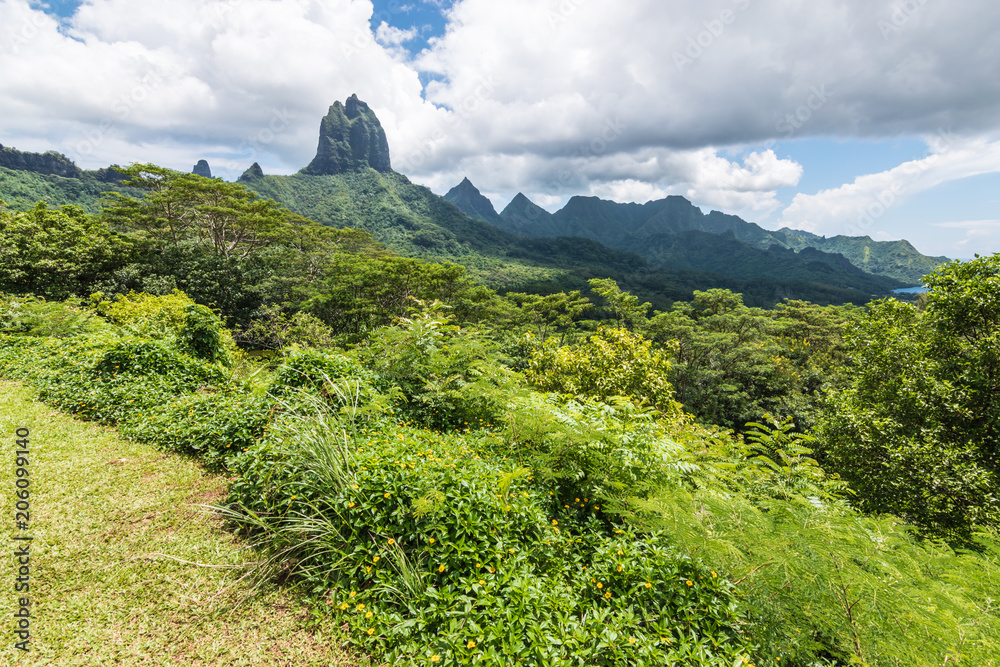 Moorea landscape with Rotui mountain in the background.