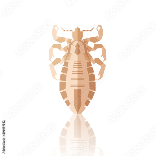 Flat geometric Louse