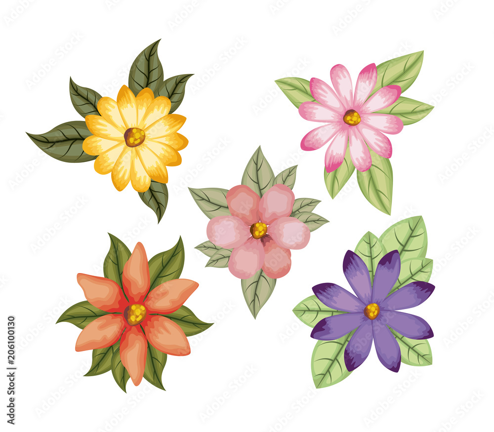 beautiful flowers set decorative icon vector illustration design
