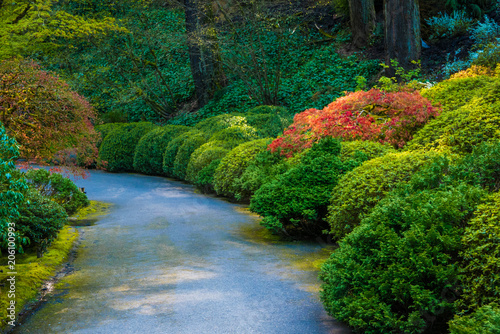 Beautiful green and red round shrubs along a path in a park