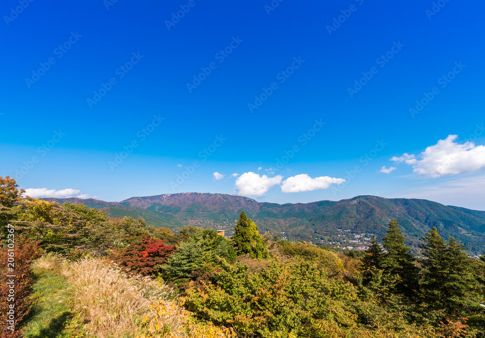 View of the mountain landscape in Hakone, Japan. Copy space for text.