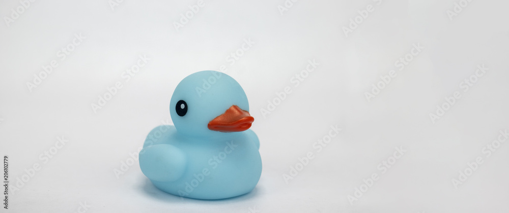 A blue rubber duck on an isolated white background A blue rubber duck on an isolated white background