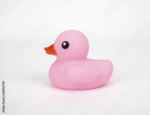 A pink rubber duck on an isolated white background with room for text and more