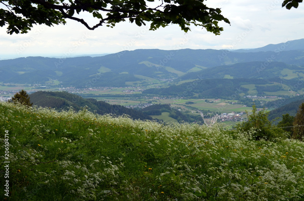 Schwarzwaldlandschaft im Frühling