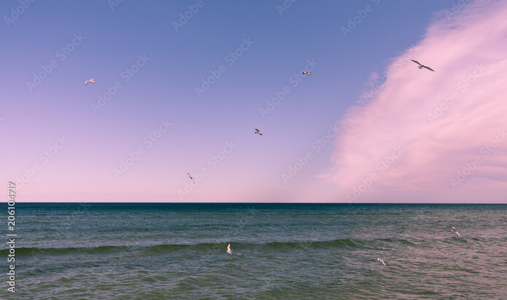 View of the Baltic sea View of the Baltic sea