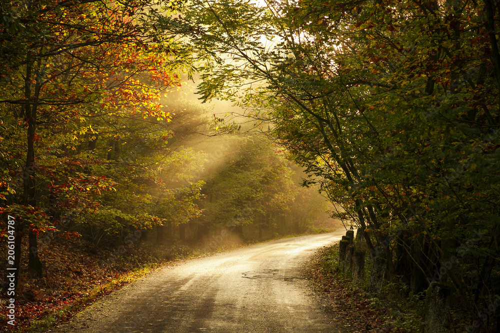 Obraz premium Autumn Classics