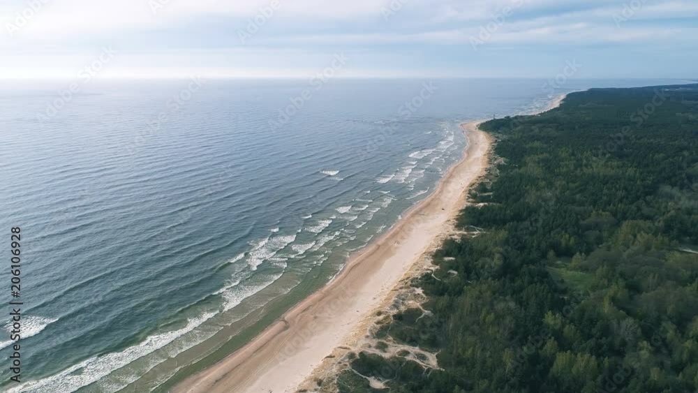 Beach on Seaside, Forest, Baltic Sea, Lithuania, Aerial View Beach on Seaside, Forest, Baltic Sea, Lithuania, Aerial View