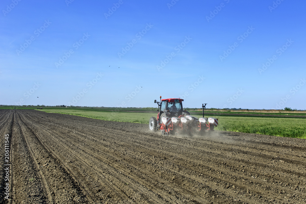 Tractor sows corn Tractor sows corn