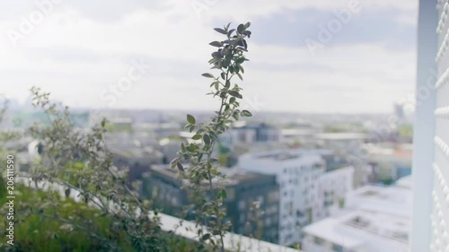 Beautiful flowers on a rooftop in Paris