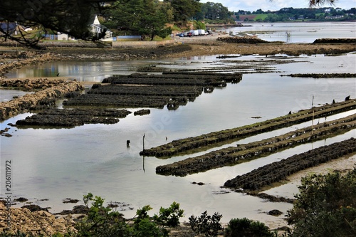 mer bretagne golfe du morbihan photo