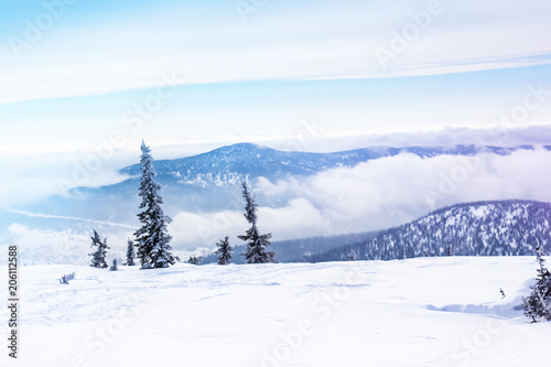 Вершина горы, зимний пейзаж, горы в тумане © danysharipova