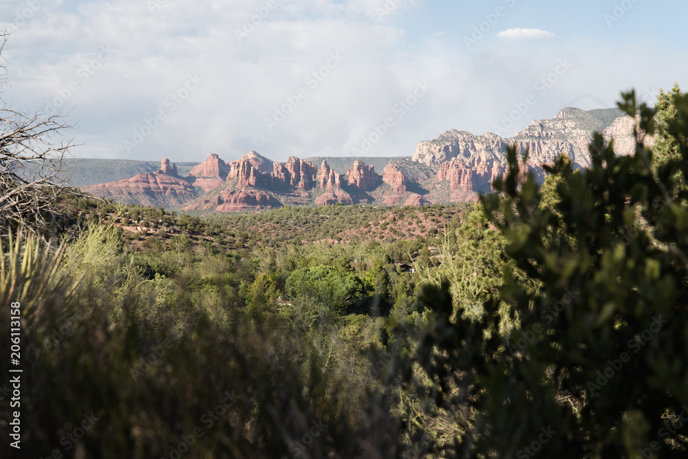Landscape view of Sedona, Arizona in the summer. 