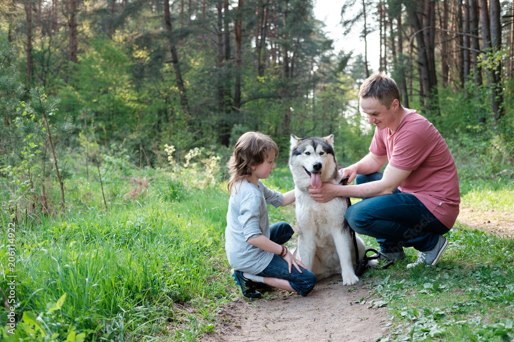 father and son with their dog malamute on a walk in the forest father and son with their dog malamute on a walk in the forest