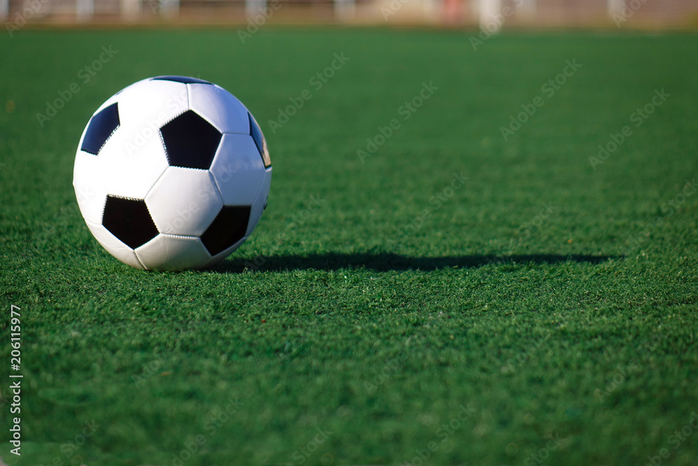 Football on a green field Football on a green field