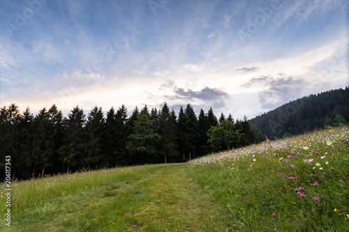 Sonnenuntergang im Schwarzwald
