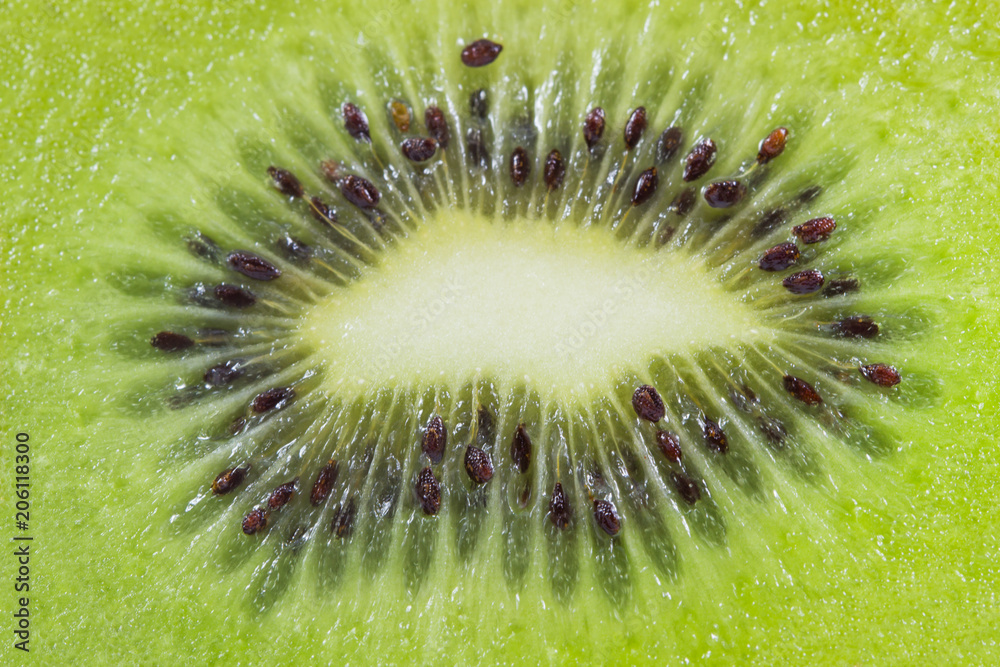 Close up fresh kiwi fruit slice isolated on white background, texture background Close up fresh kiwi fruit slice isolated on white background, texture background