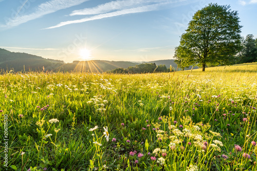 Sonnenaufgang im Schwarzwald