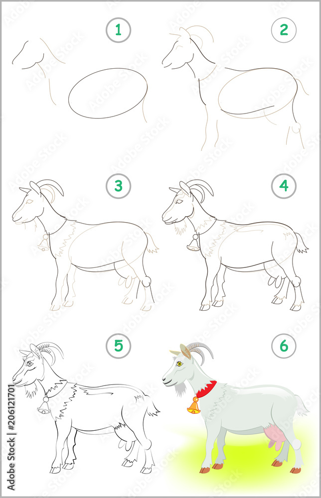 How To Draw A Goat Step By Step