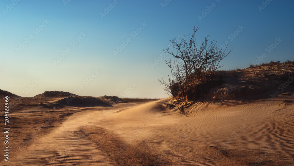 The Peipsi dunes