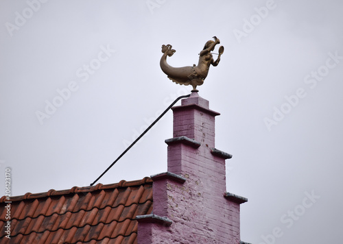 Decorative  roof finial photo