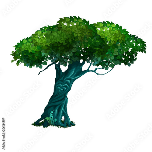 Lonely old deciduous tree isolated on white background. Vector cartoon close-up illustration.
