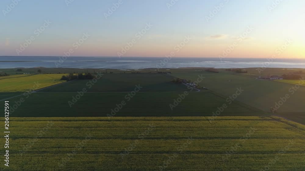 Scenic view of field at sunset. Aerial drone shot flying over rapeseed fields. Flight over farmland landscape, sea in the background Scenic view of field at sunset. Aerial drone shot flying over rapeseed fields. Flight over farmland landscape, sea in the background