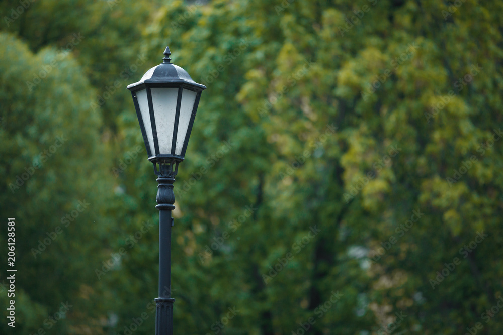lamp post in the background of the tree lamp post in the background of the tree