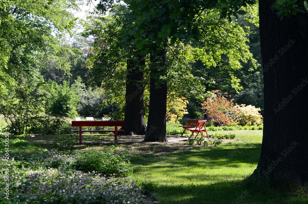 red park benches in the shade of the trees