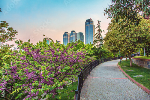 Canvas Print Levent business Center through the Sport park