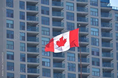 The canadian flagg in front of a skyscraper in downtown Toronto. photo