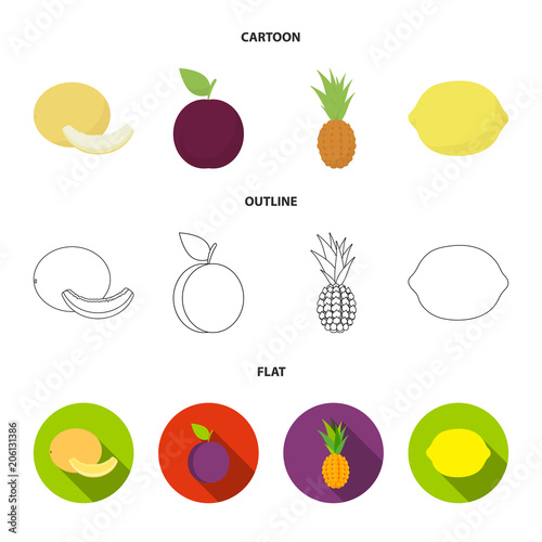 Melon, plum, pineapple, lemon.Fruits set collection icons in cartoon,outline,flat style vector symbol stock illustration web. photo