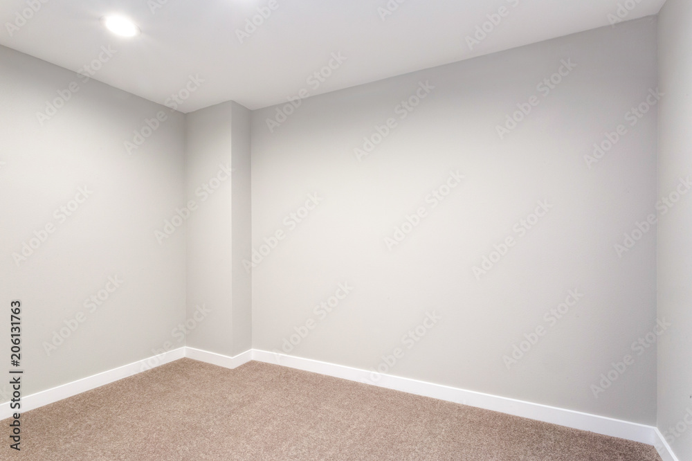 Empty room with soft grey walls and carpet floor foto de Stock | Adobe Stock