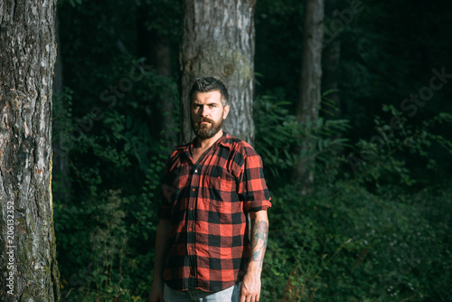 Brutal bearded man standing in front of trees. Concentrated lumberjack wandering in wilderness in the evening