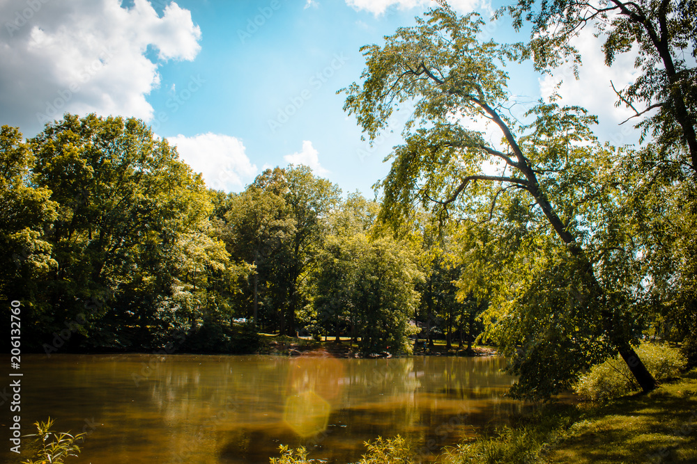 Blue Spruce Pond on a sunny summer day