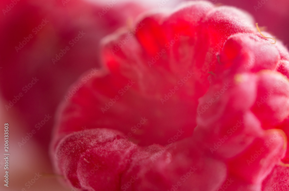 raspberries on a white saucer close up, macro photo
