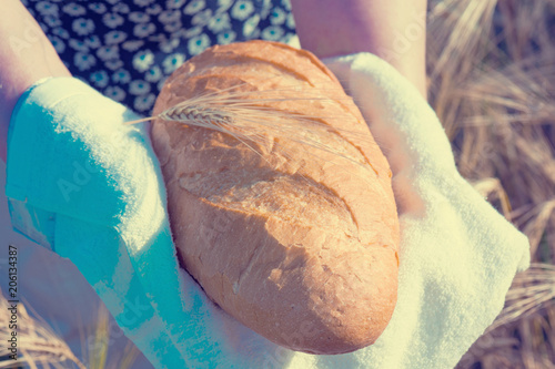 Freshly baked rustic traditional rye bread on white fabric, near the wheat field. Blur focus. Instagram. photo