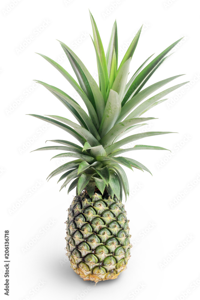 Pineapple on a white background (isolated on white and clipping path) Pineapple on a white background (isolated on white and clipping path)