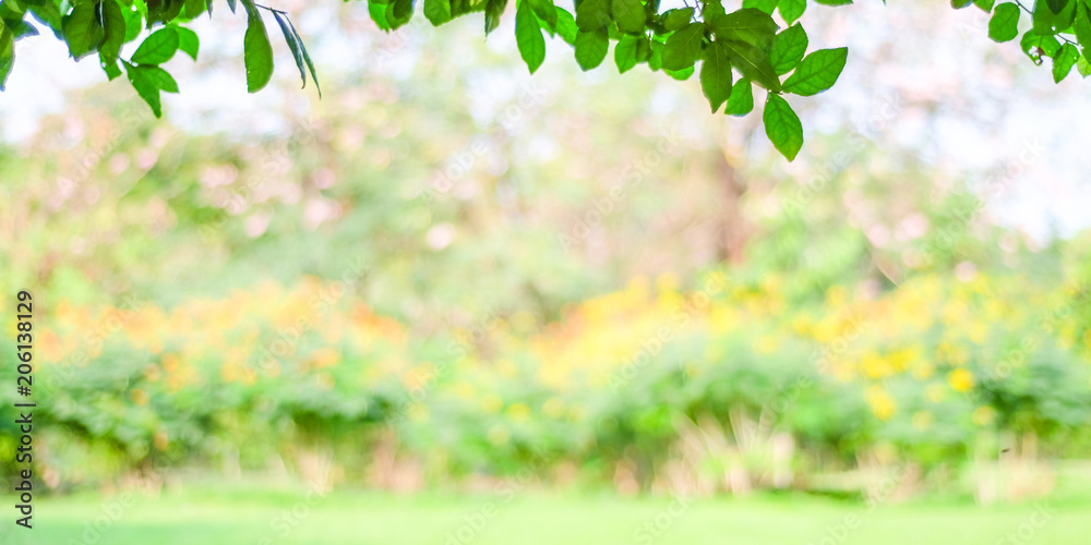 Blurred spring and summer nature outdoor background, Blur green park  background Stock Photo | Adobe Stock