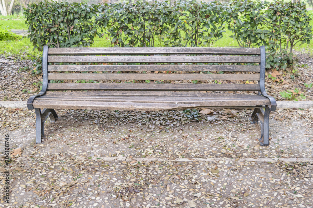 Park Chair, Villa Borghese, Rome, Italy Park Chair, Villa Borghese, Rome, Italy