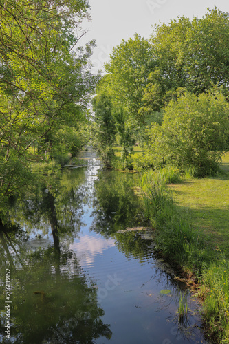 Wallpaper Mural Nouvelle Aquitaine - Charente-Maritime - Aunis - Le Curé, rivière dans les bois Torontodigital.ca