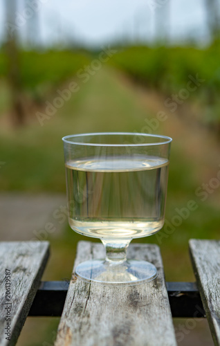 Dutch winery, white wine tasting on vineyard in Brabant on outside terrace