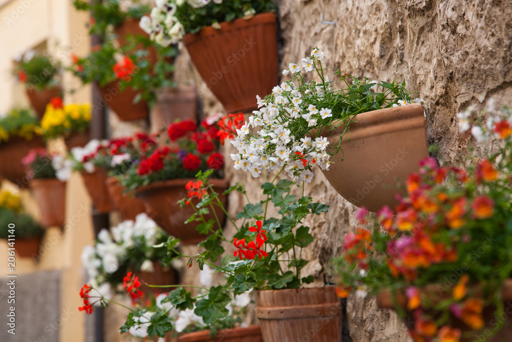 pots of flowers on the walls in a small village in Tuscany