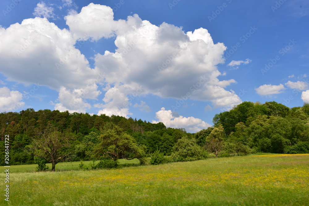 Obraz premium Wiesenlandschaft im Landkreis Tübingen 