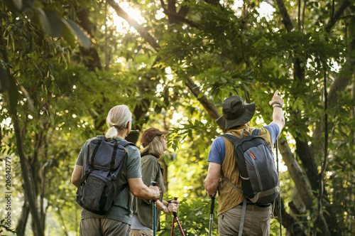 Seniors trekking in a forest photo