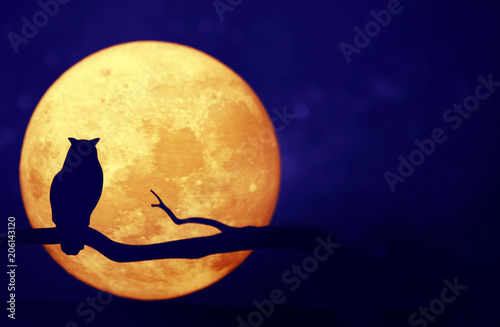 Full moon in the night sky