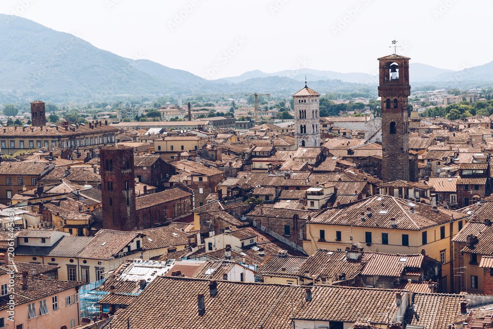 aerial view of old houses of city and mountains, Pisa, Italy