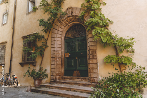 big ancient door with plants in old city, Pisa, Italy © LIGHTFIELD STUDIOS