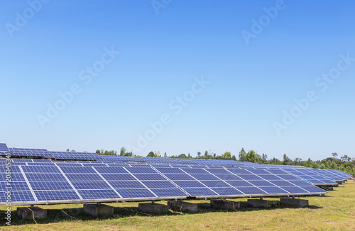 rows array of polycrystalline silicon solar cells or photovoltaics in solar power plant turn up skyward absorb the sunlight from the sun